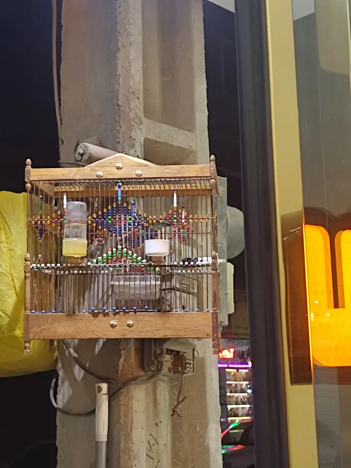 سهره کرمونی|پرنده|مشهد, جاهد شهر|دیوار