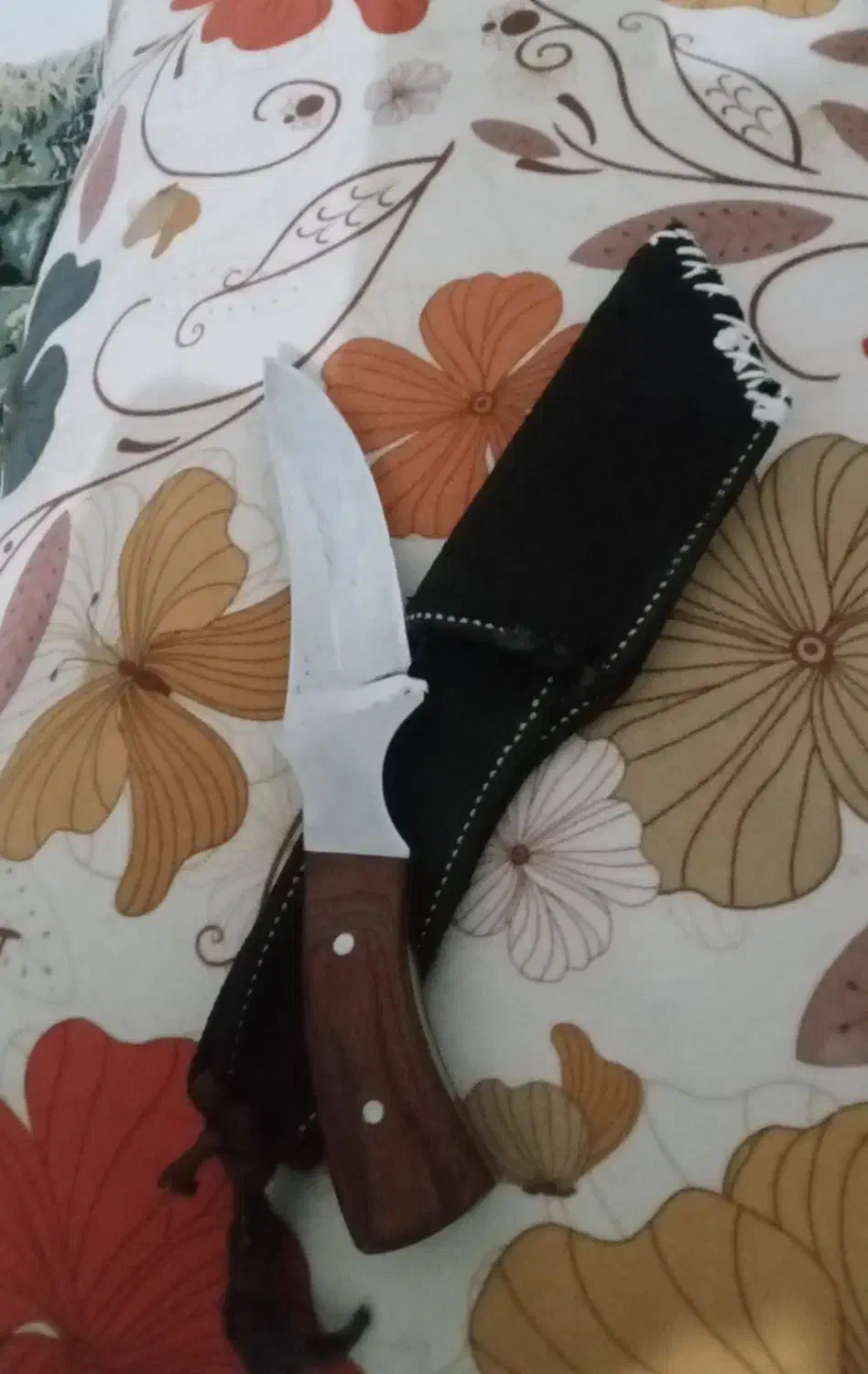 چاقو کمری|کوهنوردی و کمپینگ|علیآباد کتول, |دیوار