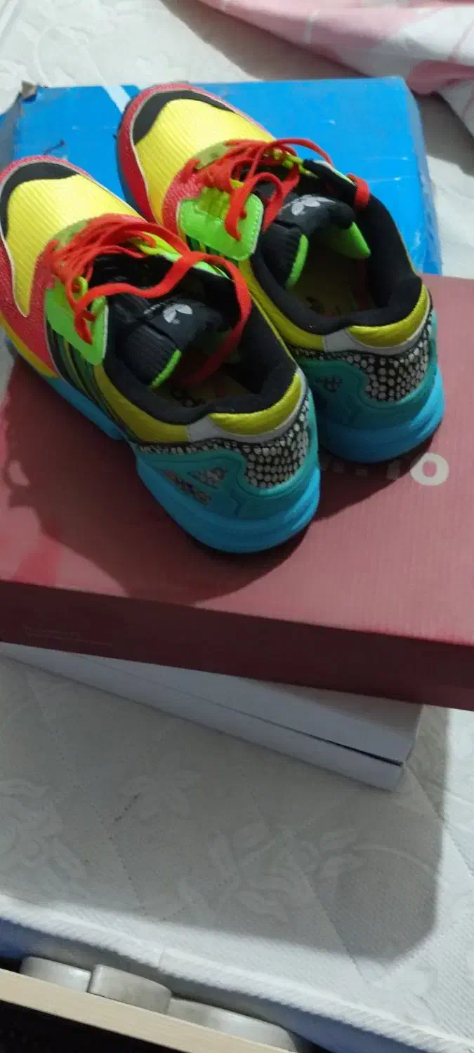 zxاتموس طوطی اکبند|کیف، کفش، کمربند|اسلامشهر, شهرک مفیدی|دیوار