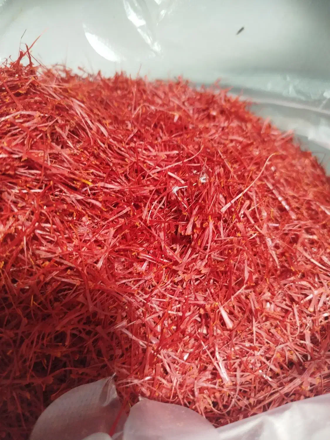 خرید و فروش زعفران|عمده‌فروشی|مشهد, رضاشهر|دیوار