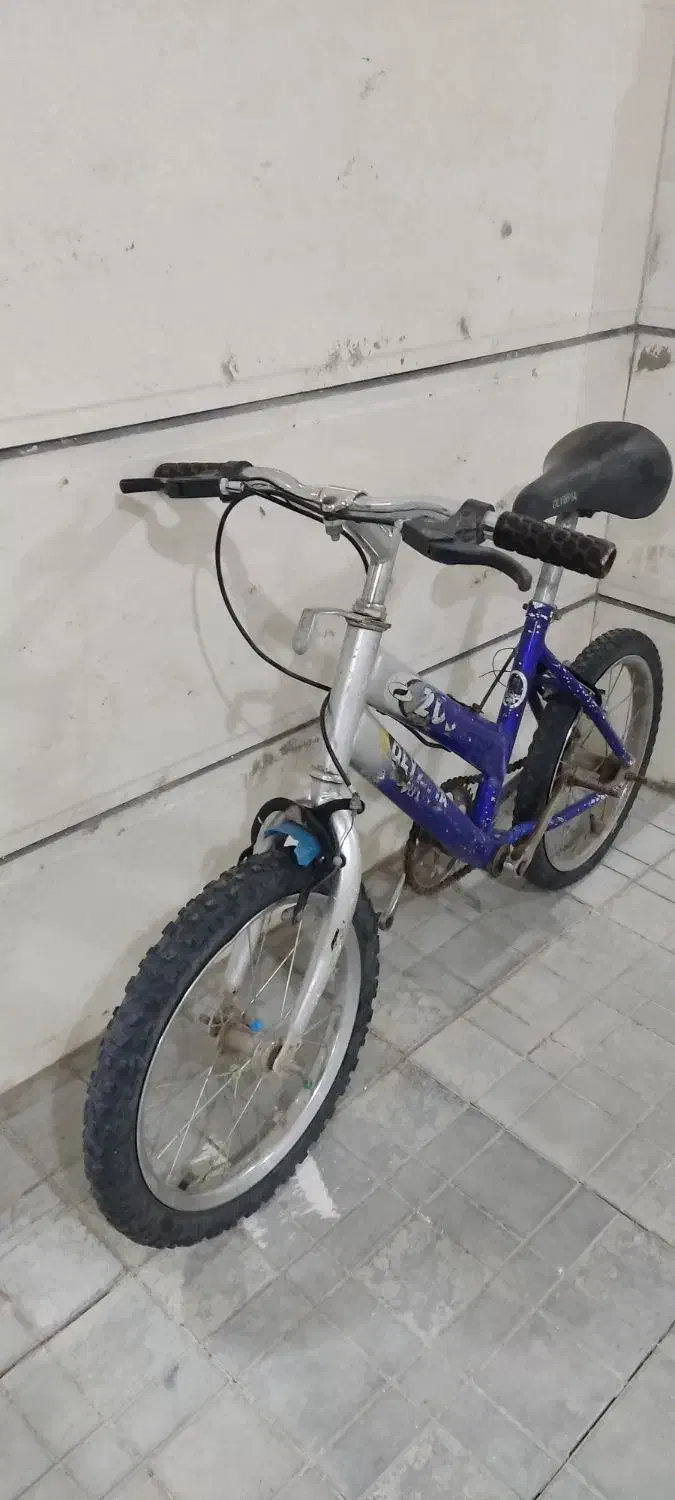 دوچرخه ۱۶|دوچرخه، اسکیت، اسکوتر|سبزوار, گلشن|دیوار