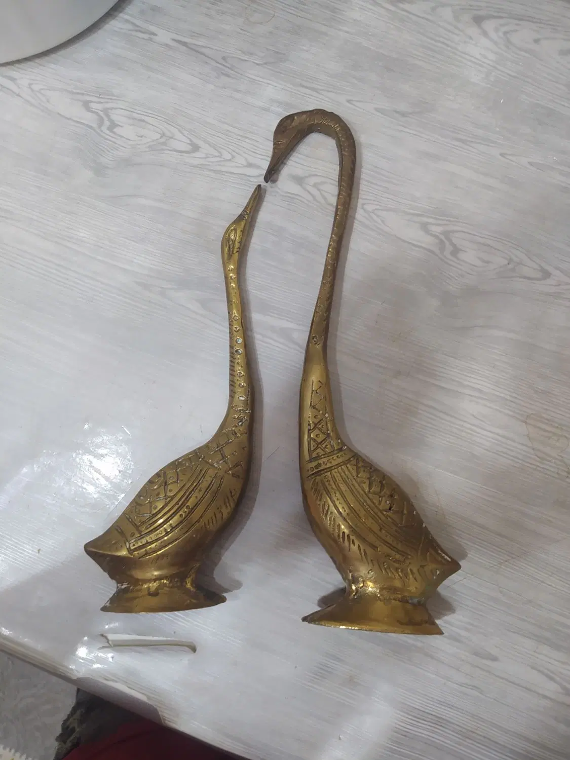 قو برنز|مجسمه، تندیس، ماکت|اردبیل, |دیوار