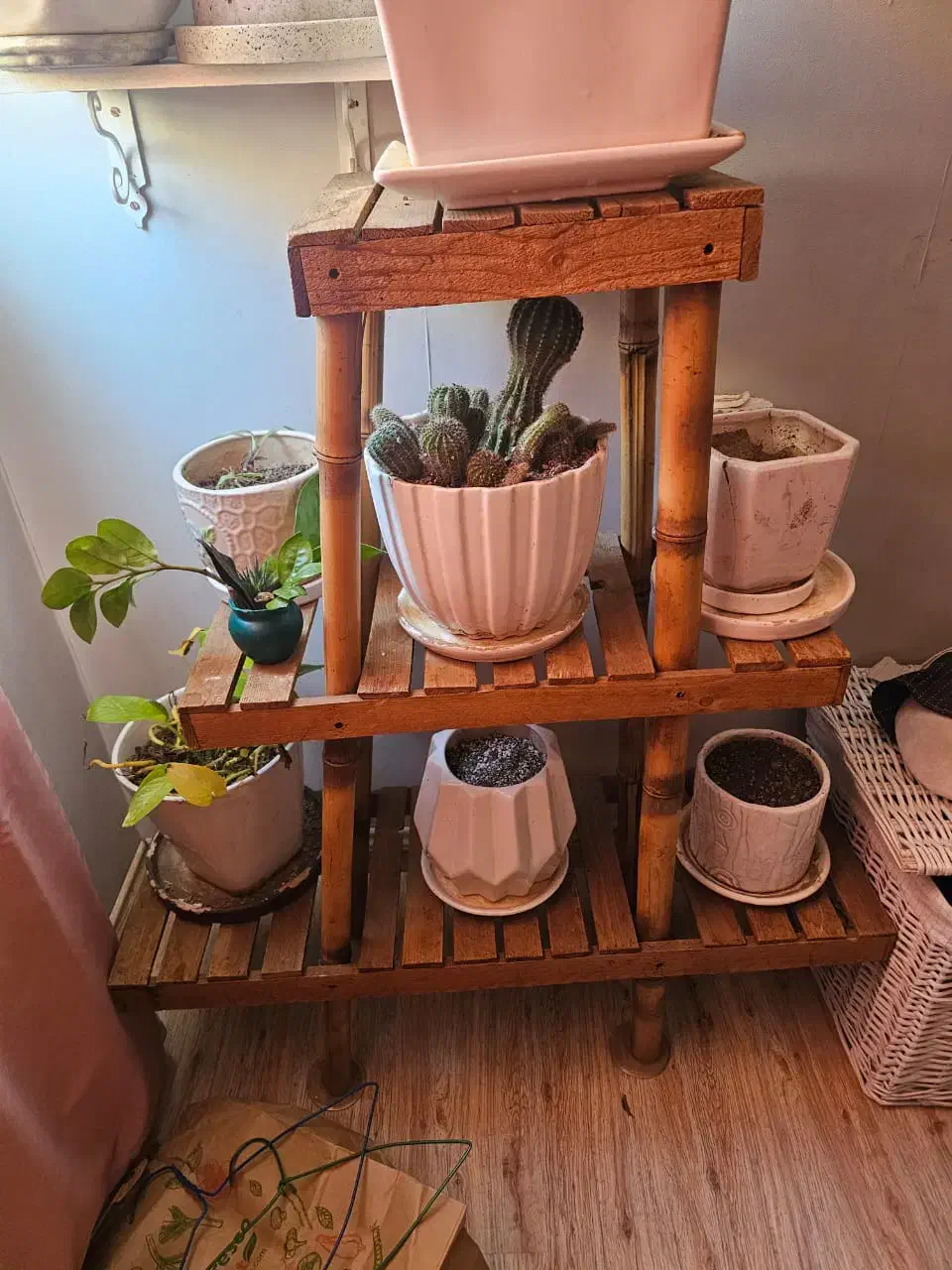 استند گل|کتابخانه، شلف، قفسه‌های دیواری|کرج, فاز ۳ گوهردشت|دیوار