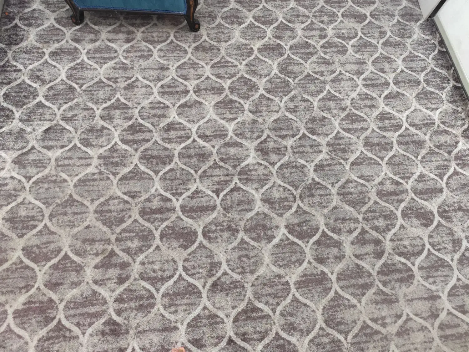 موکت پالاز|موکت|قم, انسجام|دیوار