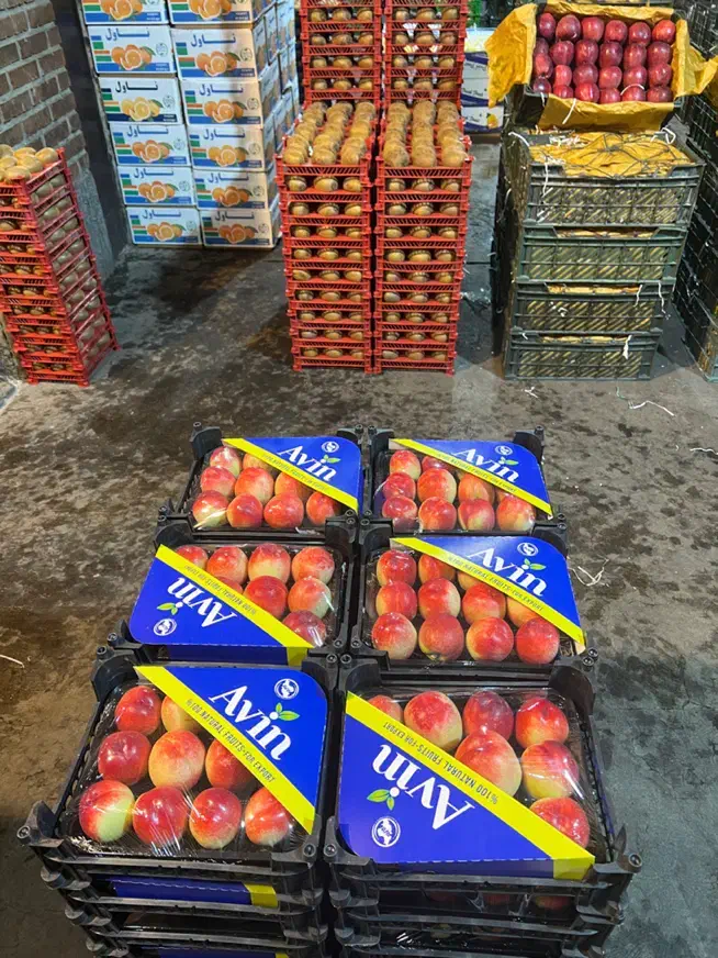 تامین میوه و تره بار عمده برای شرکت ها و ارگانها|عمدهفروشی|تهران, میدان میوه و ترهبار مرکزی|دیوار