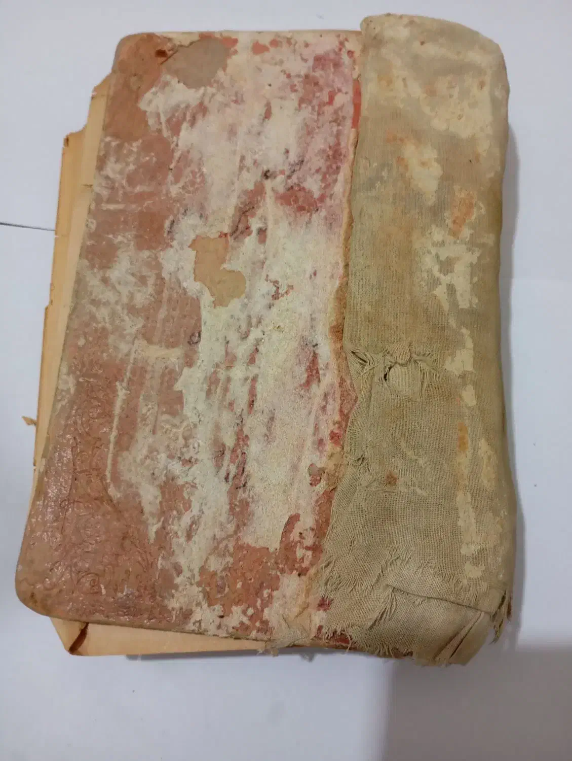 کتاب راهنمای نجات از مرگ مصنوعی|کتاب و مجله تاریخی|مشهد, رضاشهر|دیوار