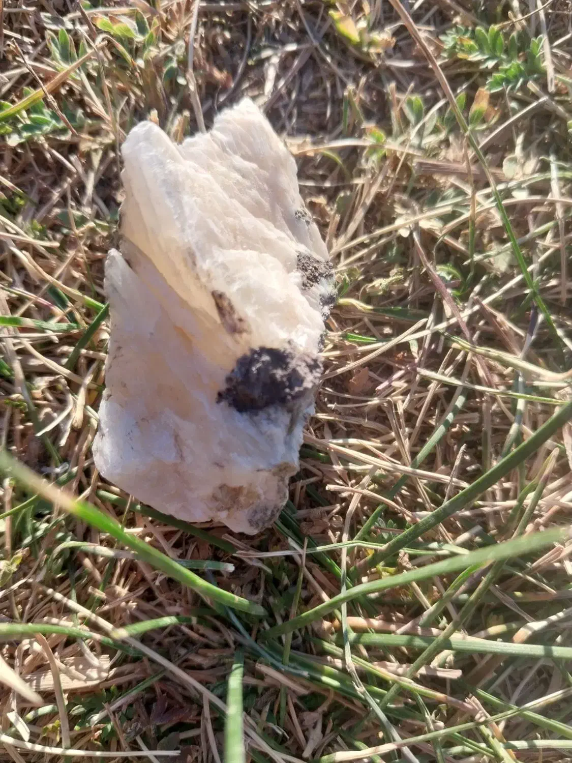 سلام|جواهرات|آزادشهر, |دیوار