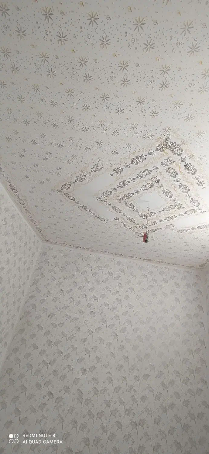 نقاشی و طرح کاغذ دیواری|خدمات پیشه و مهارت|سیرجان, |دیوار