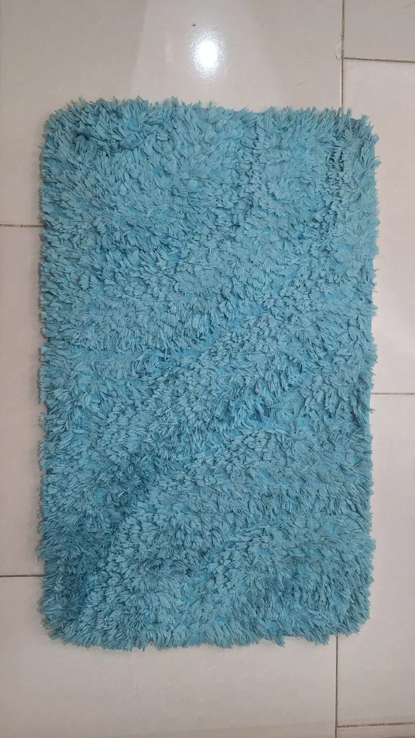 پادری فیروزه ای|پادری|کرج, گلشهر|دیوار