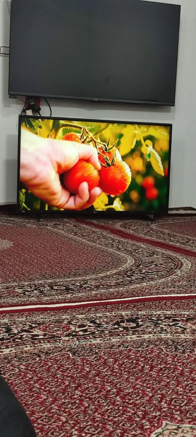 تلویزیون ال ای دی|تلویزیون و پروژکتور|کامیاران, |دیوار