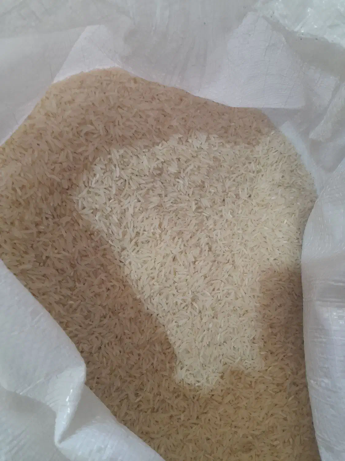 برنج فجر|خوردنی و آشامیدنی|بندر ترکمن, |دیوار