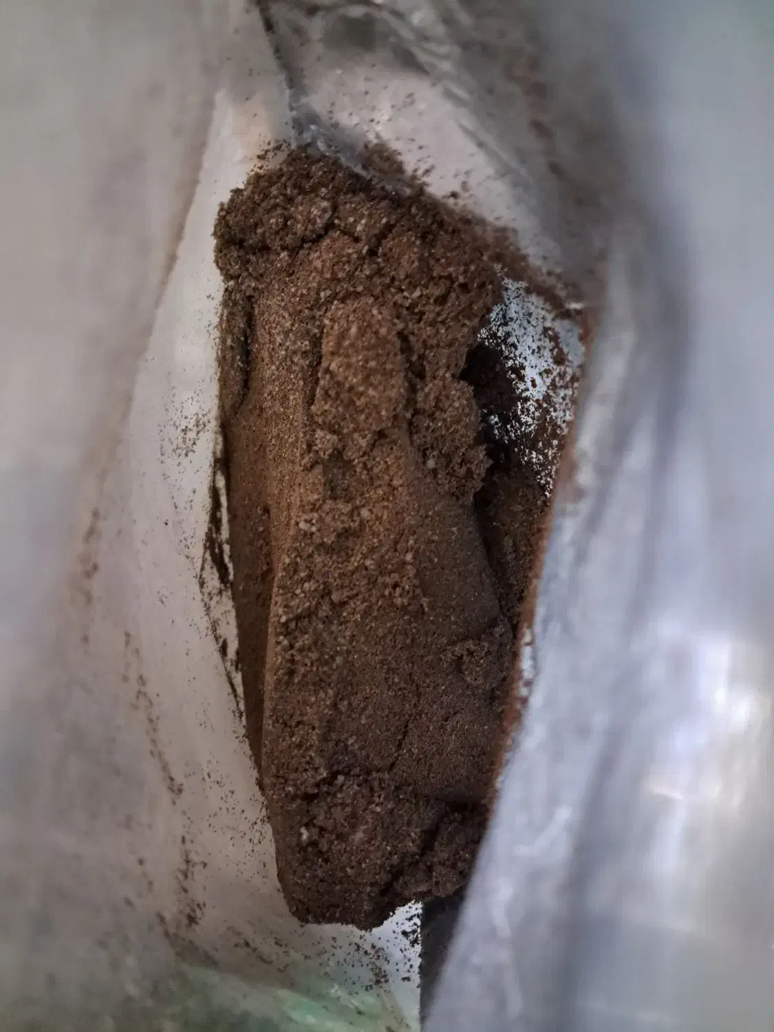 تخم میگو|ماهی|قرچک, مهدیه|دیوار