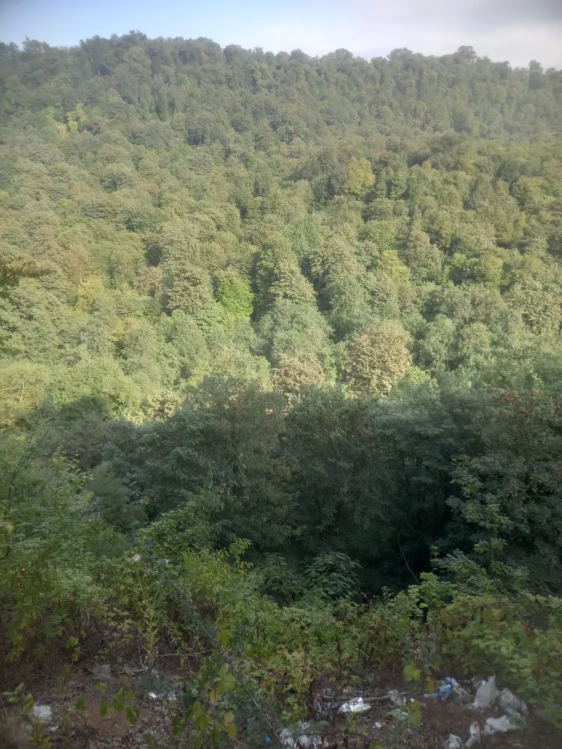 اجاره شبانه|اجارهٔ کوتاهمدت آپارتمان و سوئیت|چمستان, |دیوار