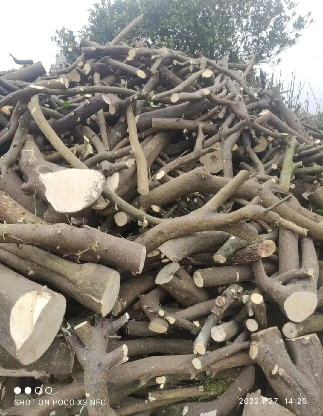 جدب نیروی برشکار|استخدام صنعتی، فنی، مهندسی|ساری, |دیوار