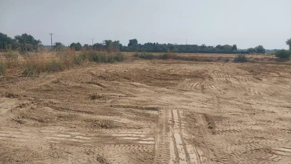 فروش زمین باغ ویلای ندافیه|فروش دفتر صنعتی، کشاورزی، تجاری|باوی, |دیوار