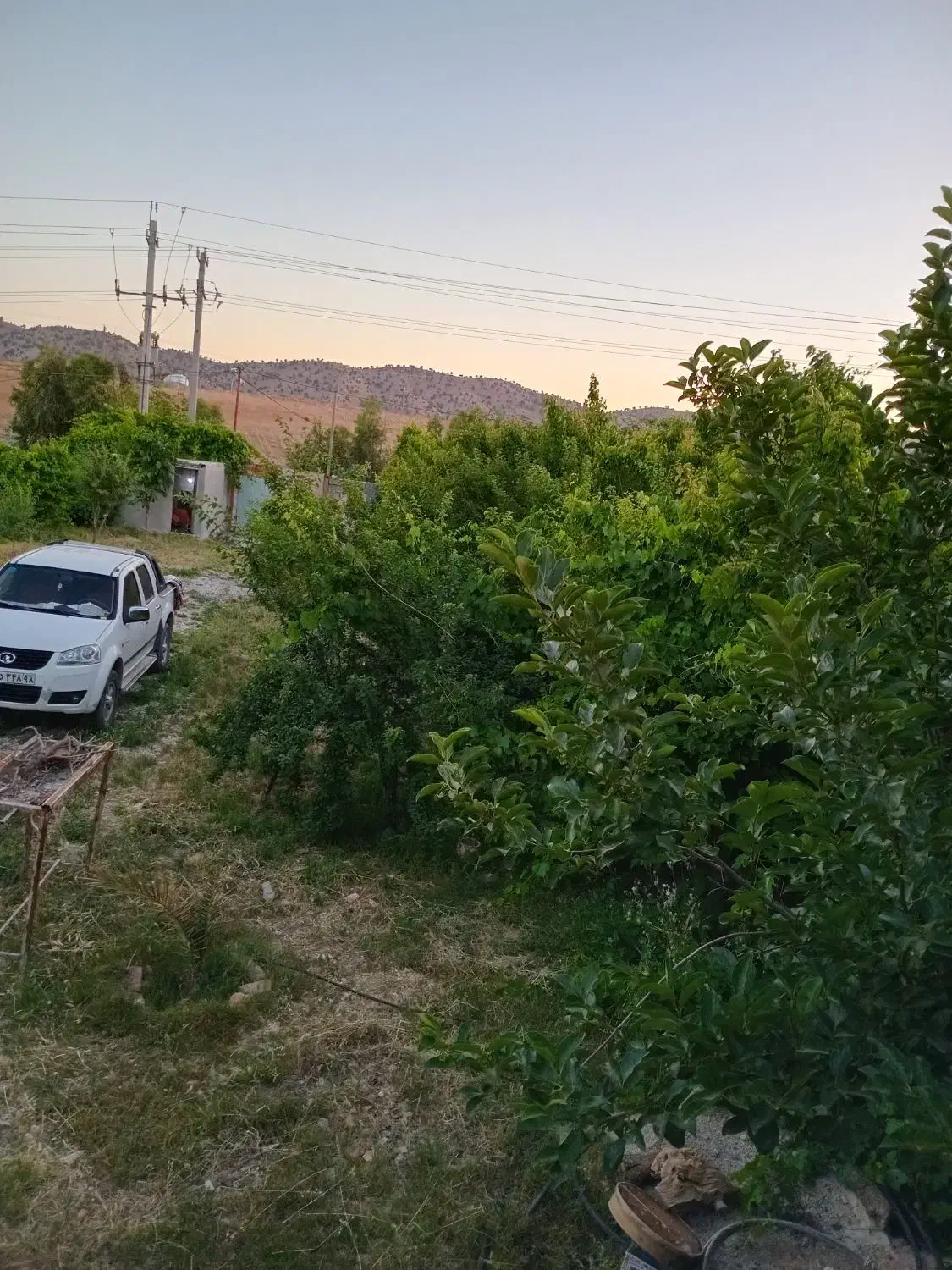 فروش خانه باغ.درچمکبود براصلی جاده ایلام دره شهر|فروش خانه و ویلا|ایلام, |دیوار