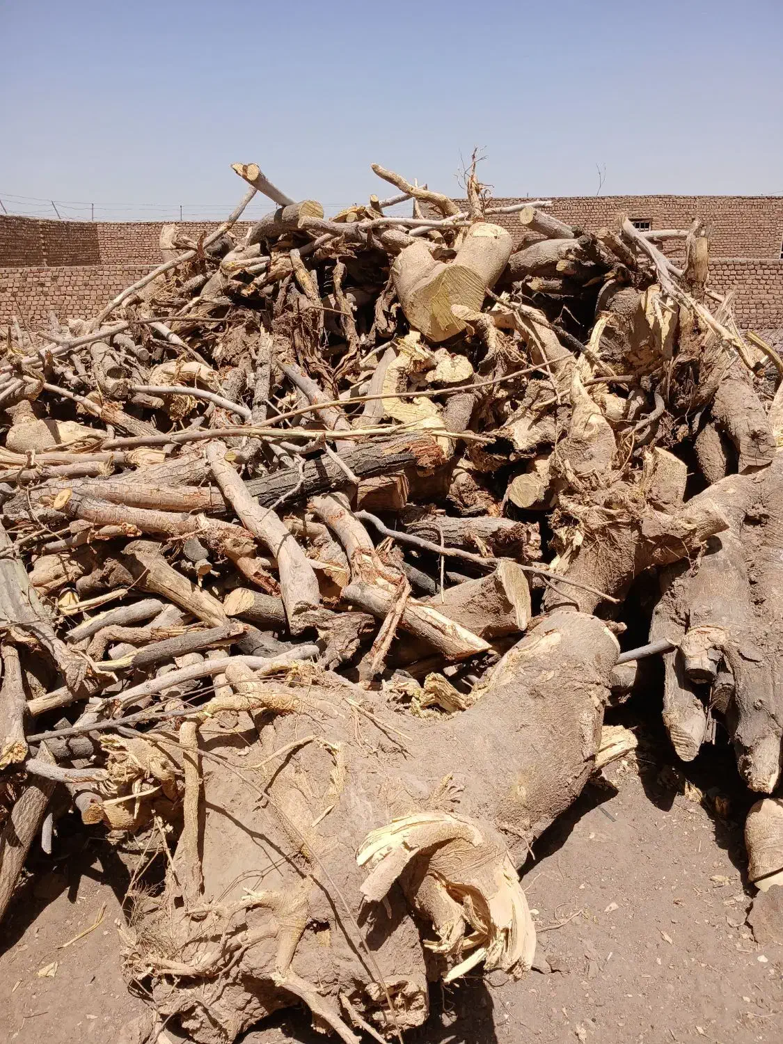 خریدار چوب آلات باغی|خدمات باغبانی و درختکاری|کاخک, |دیوار