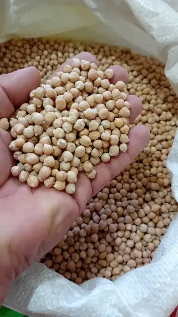 حبوبات|خوردنی و آشامیدنی|تهران, قصر فیروزه ۱|دیوار