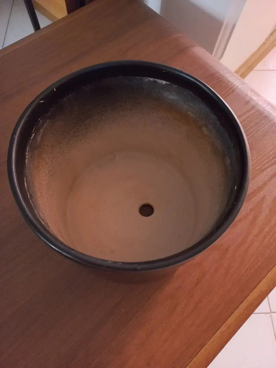 گلدان|گل مصنوعی|تهران, افسریه شمالی|دیوار