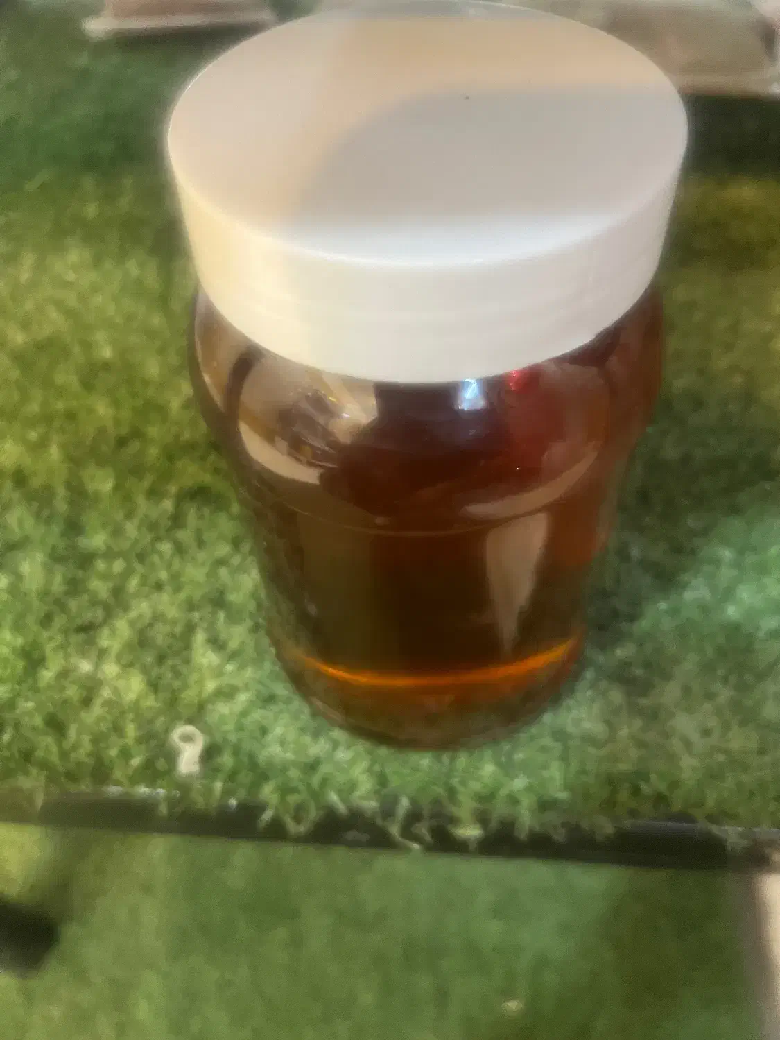 عسل وحشی کوهی|خوردنی و آشامیدنی|تهران, شهرک دانشگاه|دیوار