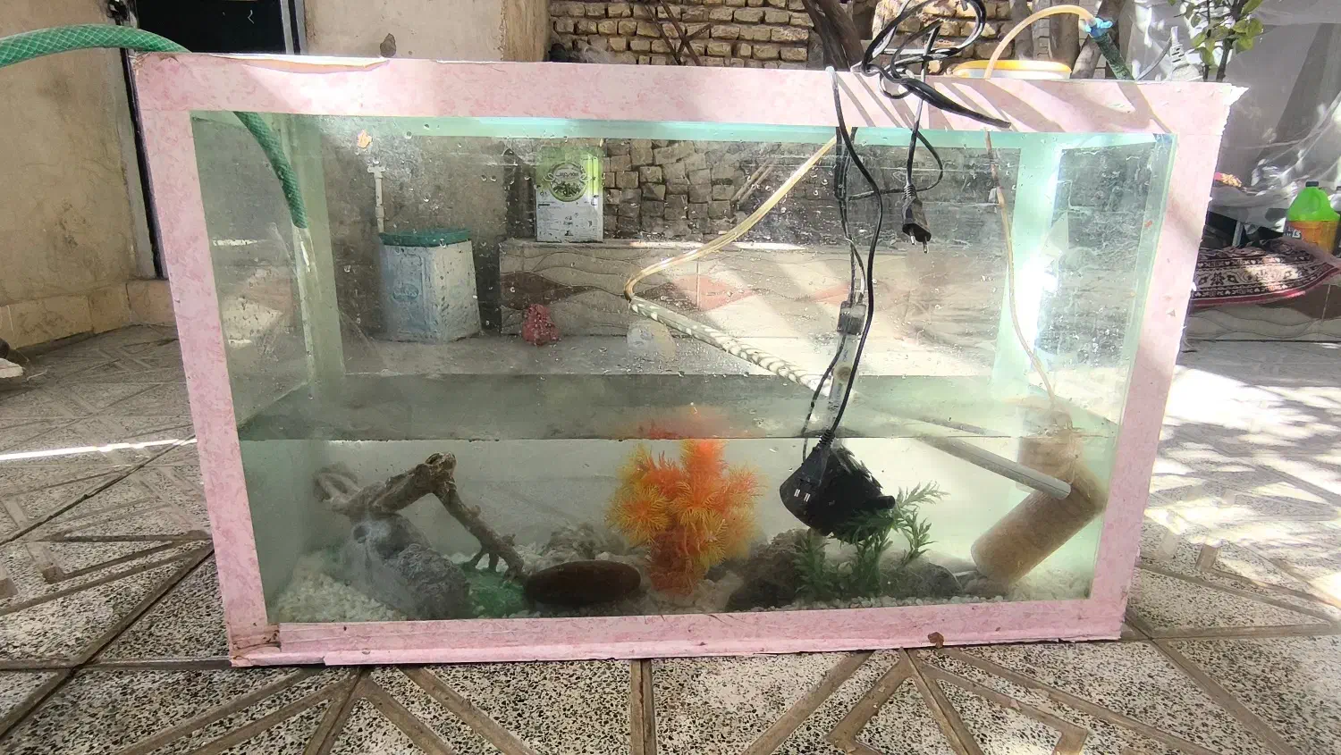 اکواریوم کامل|ماهی|لردگان, |دیوار