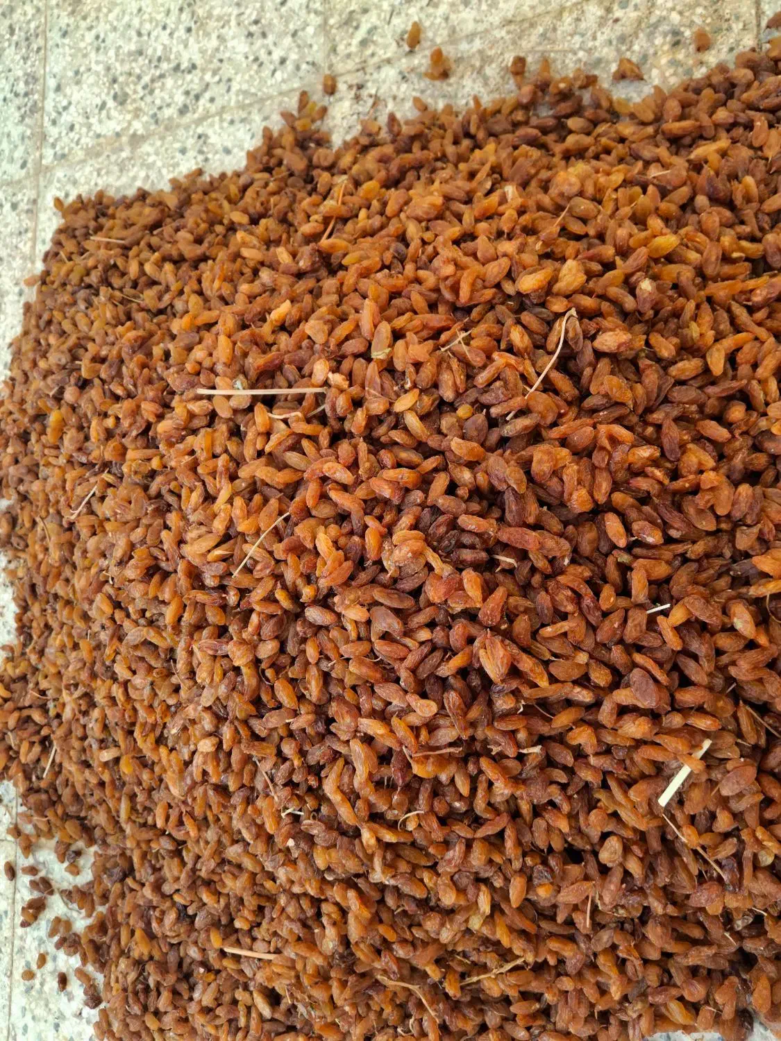کشمش آفتابی|خوردنی و آشامیدنی|بردسکن, |دیوار