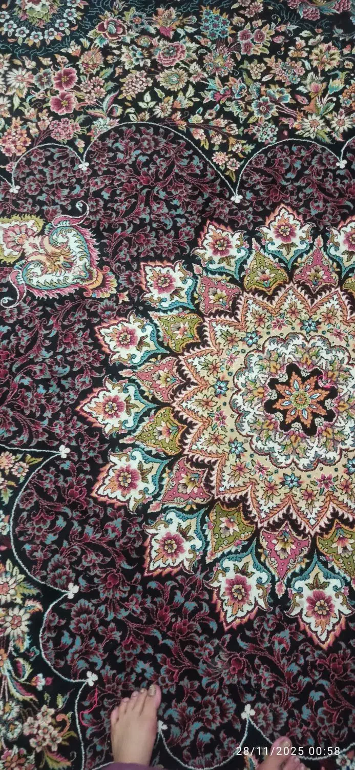 فرش سرمه ای|فرش|چابهار, |دیوار