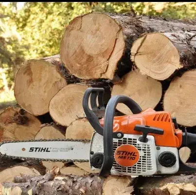 خریدار انواع چوب|خدمات باغبانی و درختکاری|مسجد سلیمان, |دیوار