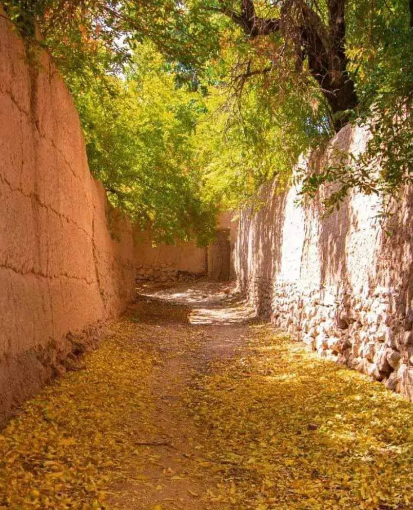 تجاری ومسکونی 220متر خیابان مطهری|فروش مغازه و غرفه|یاسوج, |دیوار