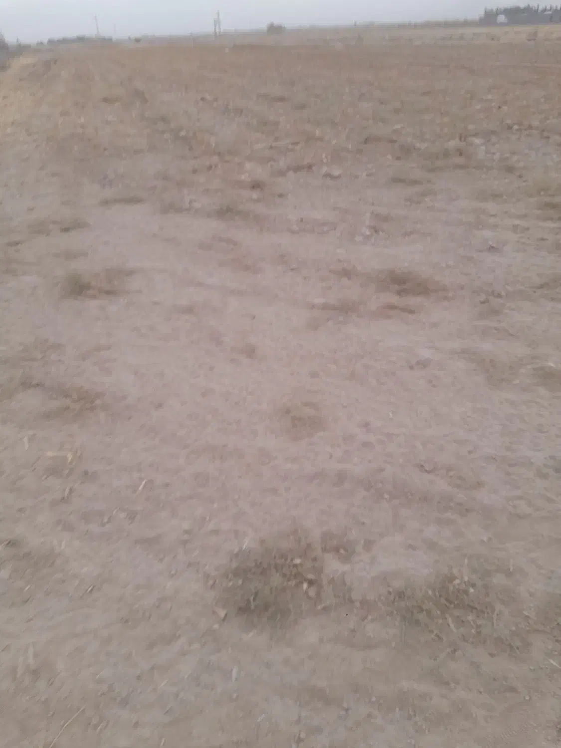 زمین باغ شهری|فروش زمین و ملک کلنگی|مرودشت, محمد آباد|دیوار