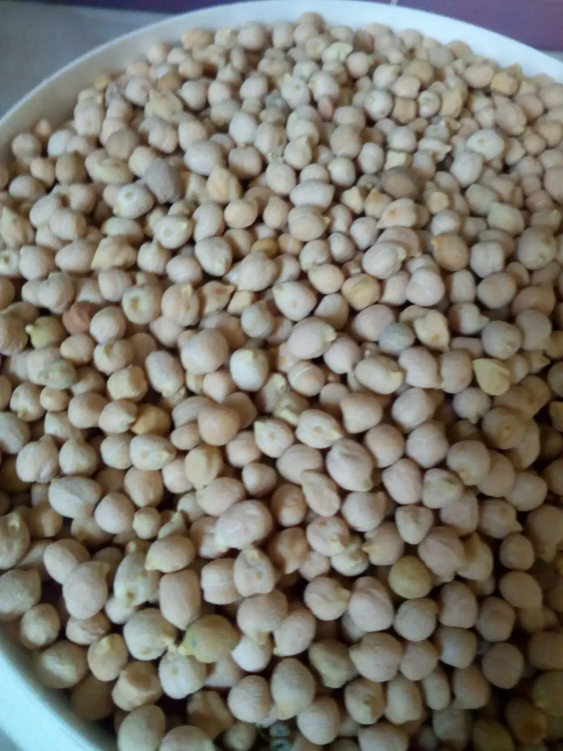 فروش نخود محلی|خوردنی و آشامیدنی|کامفیروز, |دیوار