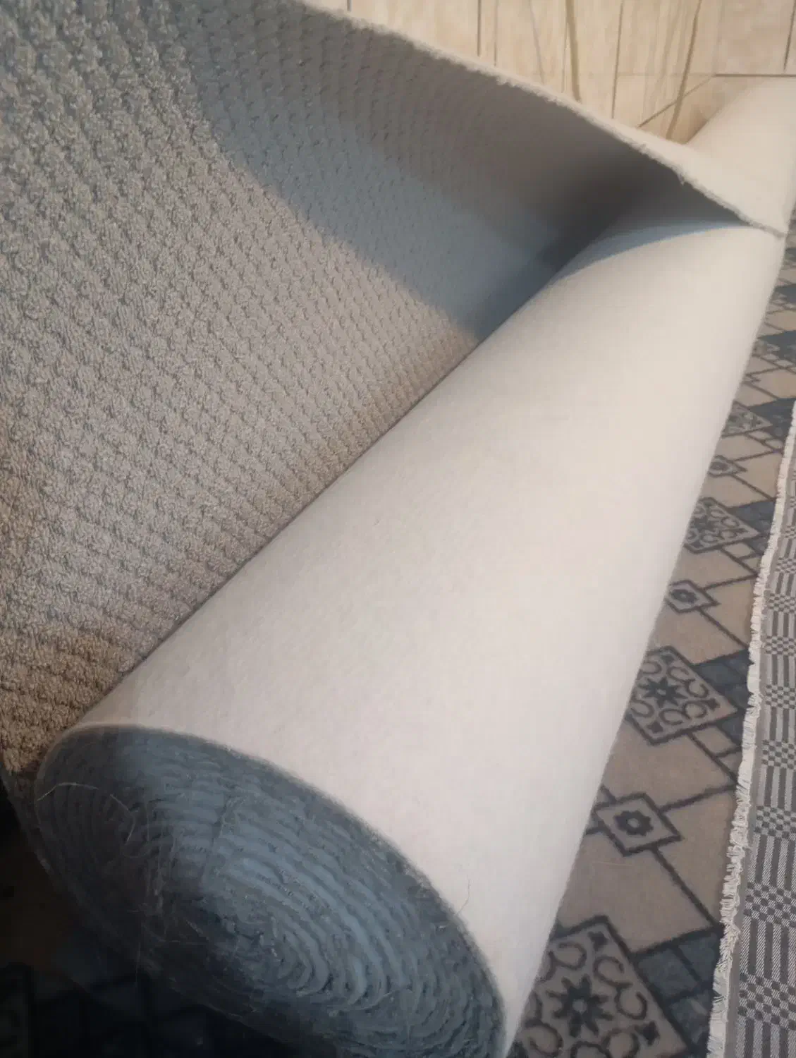 پالاز موکت|موکت|بندرعباس, |دیوار