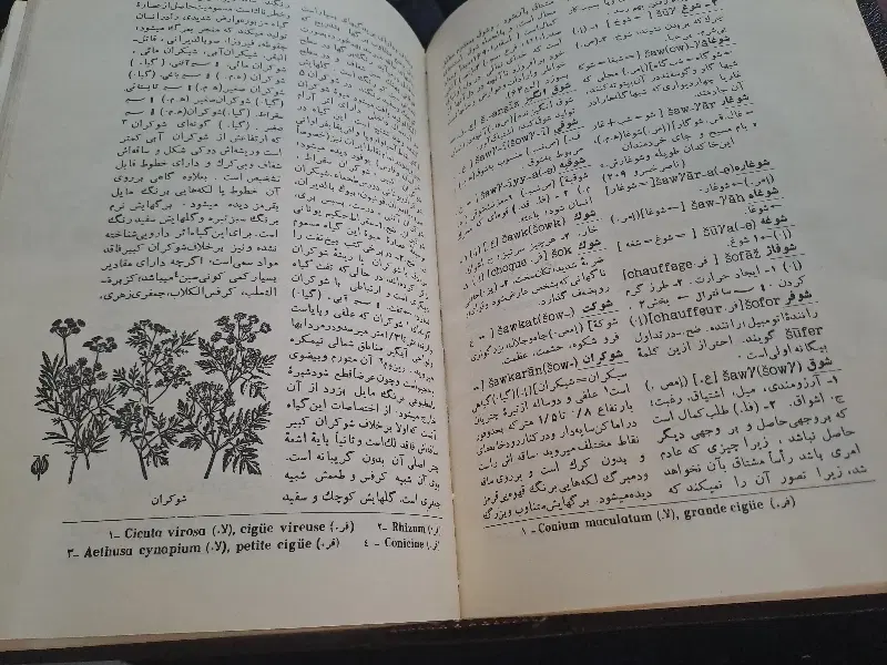کتاب|کتاب و مجله ادبی|کرمانشاه, |دیوار