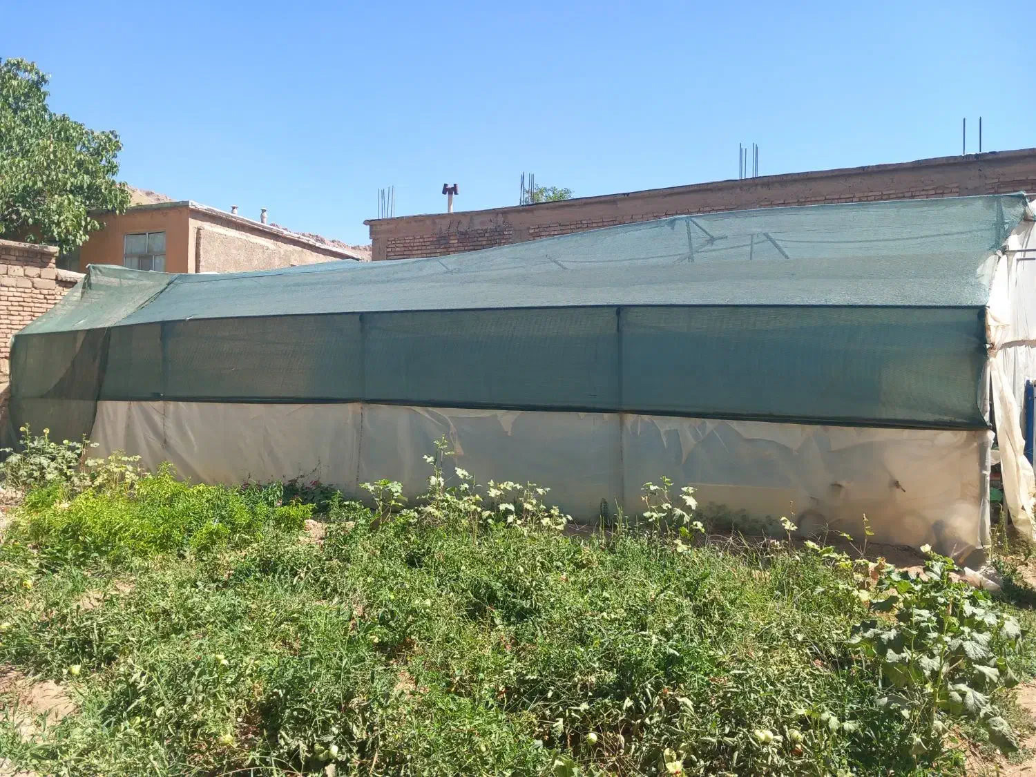 سازه گلخانه|ابزارآلات|فارسان, |دیوار