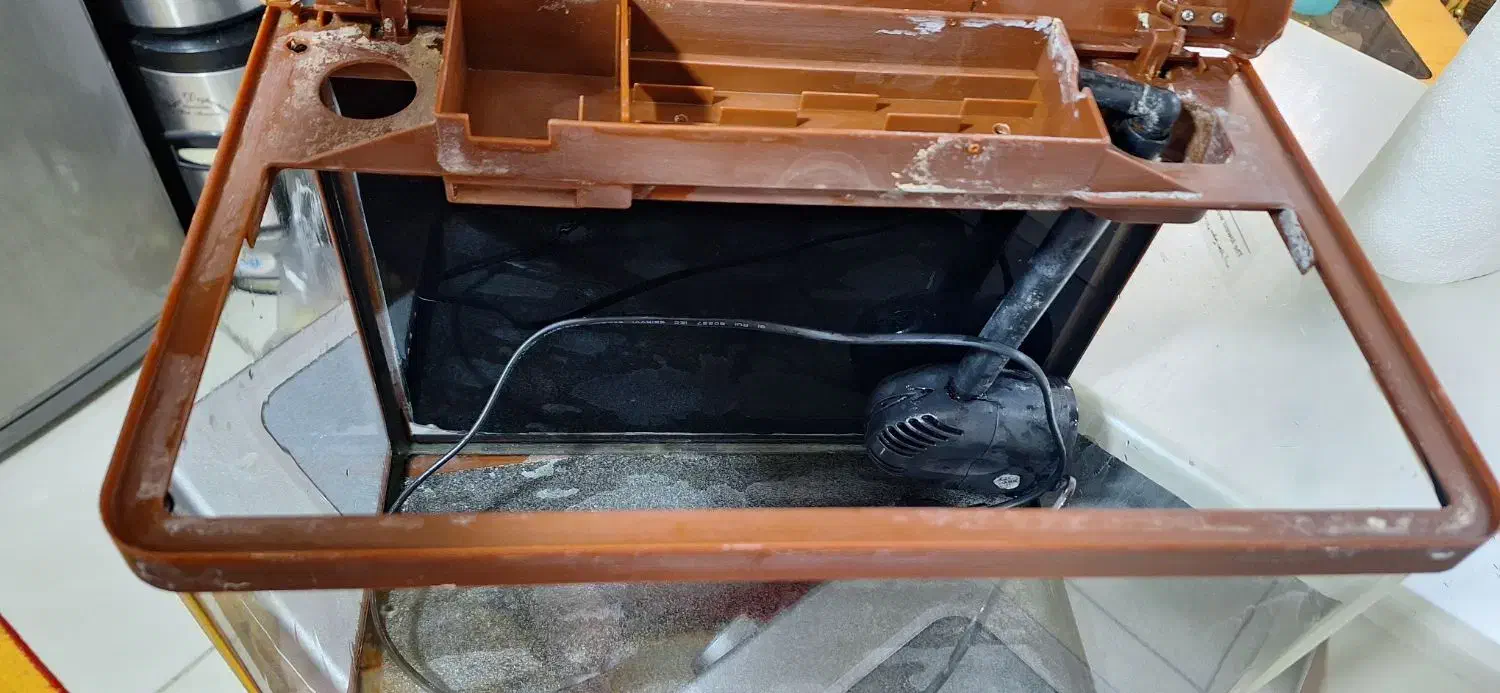 اکواریوم با لوازم|ماهی|مشهد, مصلی (کارمندان اول)|دیوار