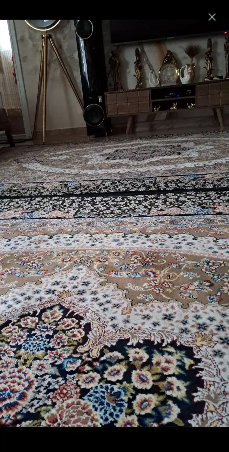 فرش سالم|فرش|رشت, پاره بیجار|دیوار