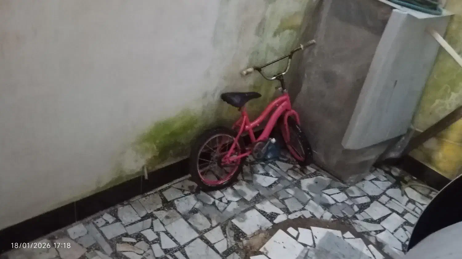 دوچرخه|دوچرخه، اسکیت، اسکوتر|رشت, جانبازان|دیوار