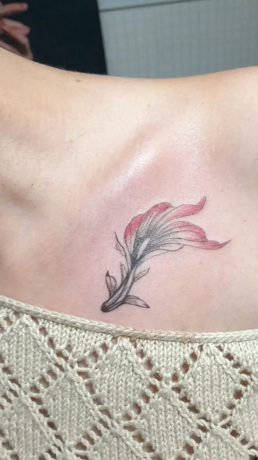 تاتو بدن و آموزش تاتو بدن و آموزش ناخن|خدمات آرایشگری و زیبایی|اردکان, |دیوار