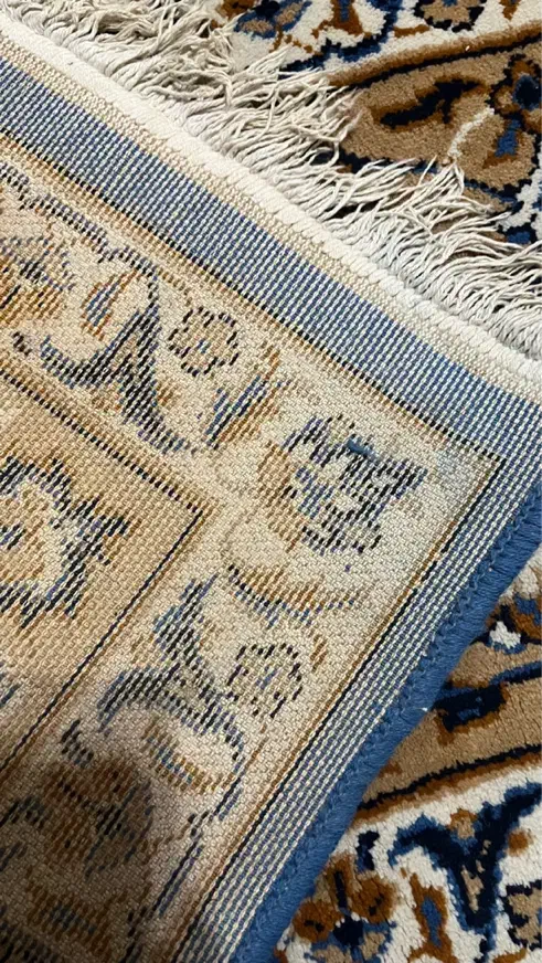 فرش ۱۲ متری|فرش|رشت, کاکتوس|دیوار