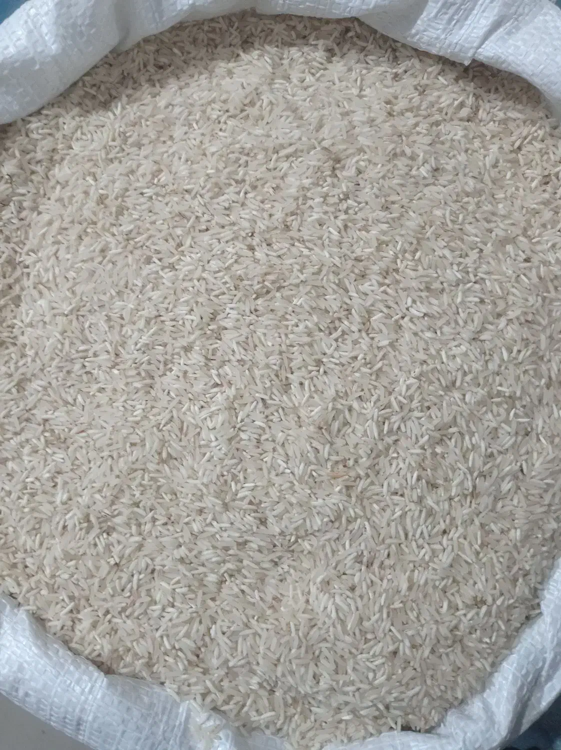 برنجشالی محلی فجر|خوردنی و آشامیدنی|آزادشهر, |دیوار