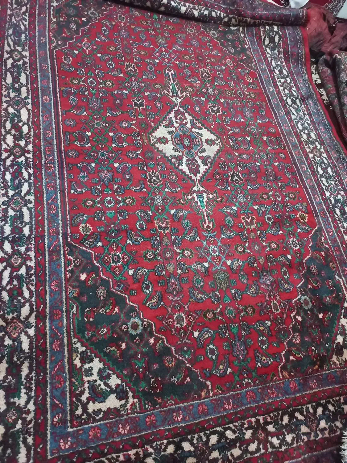 دوتا فرش دستبافت|فرش|همدان, |دیوار