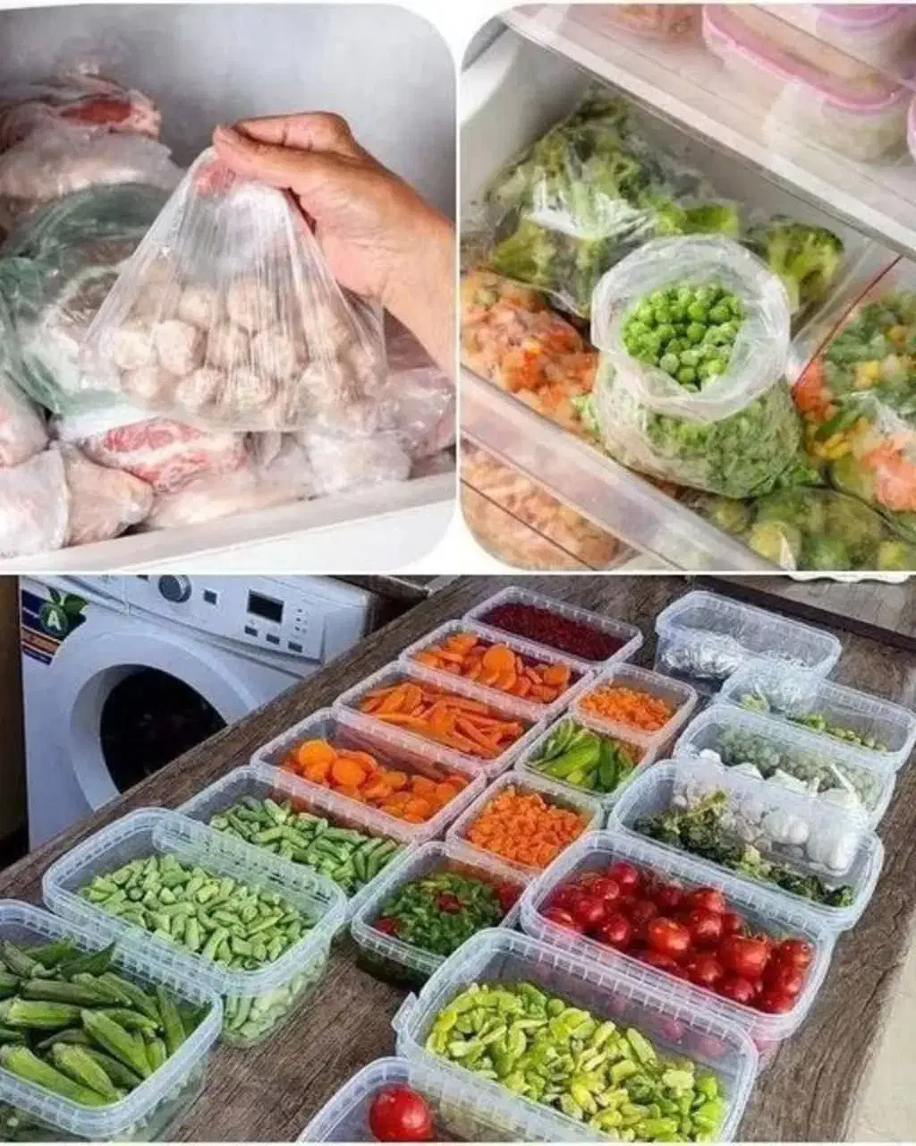 ظروف نظم دهنده در ارزانسرای شهر من|ظروف نگهدارنده، پلاستیکی، یکبارمصرف|مراغه, |دیوار