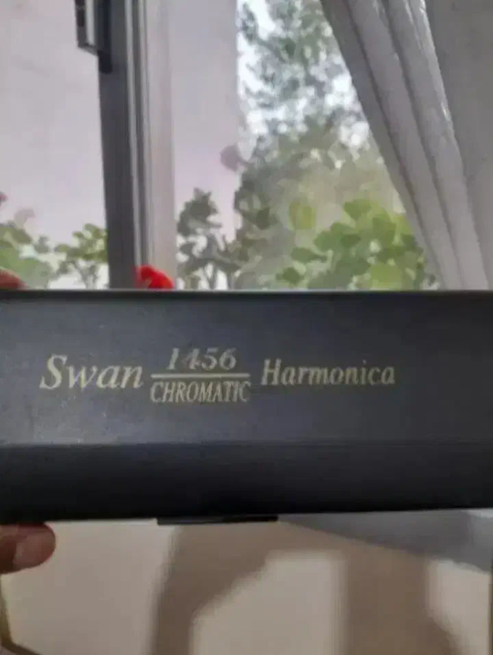 سازدهنی ۱۴ سوراخ|سازهای بادی|ری, دولتآباد|دیوار