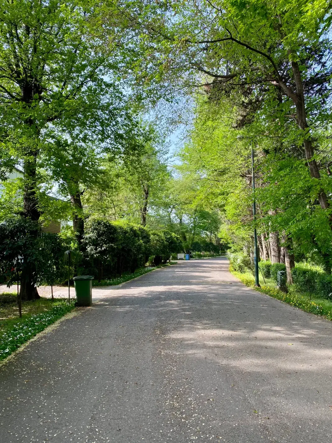 شهرک برند و با اصالت فردوس رویان|فروش خانه و ویلا|رویان, |دیوار