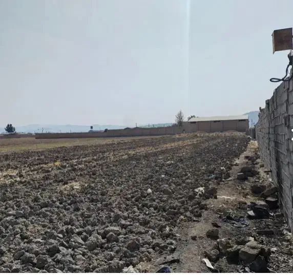 زمین کشاورزی|فروش دفتر صنعتی، کشاورزی، تجاری|مرودشت, ده بید|دیوار