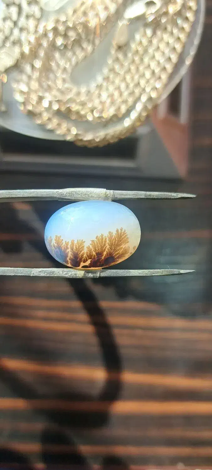 انواع عقیق شجر ۲ تومن|جواهرات|ورامین, ورامین|دیوار