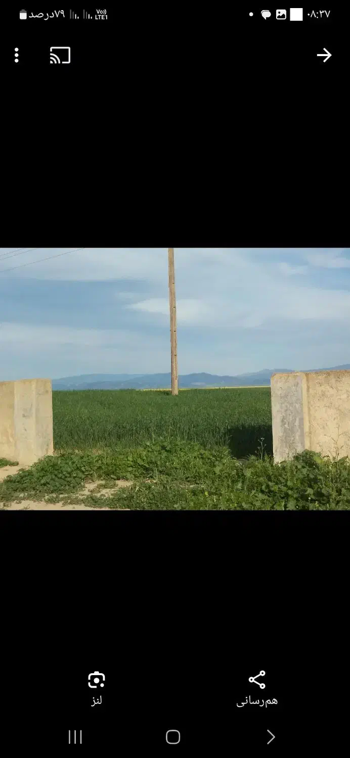 ۸۲۰۰متر زمین مجوز گاوداری بر جاده و سازه نیمه کار|فروش دفتر صنعتی، کشاورزی، تجاری|گنبد کاووس, |دیوار