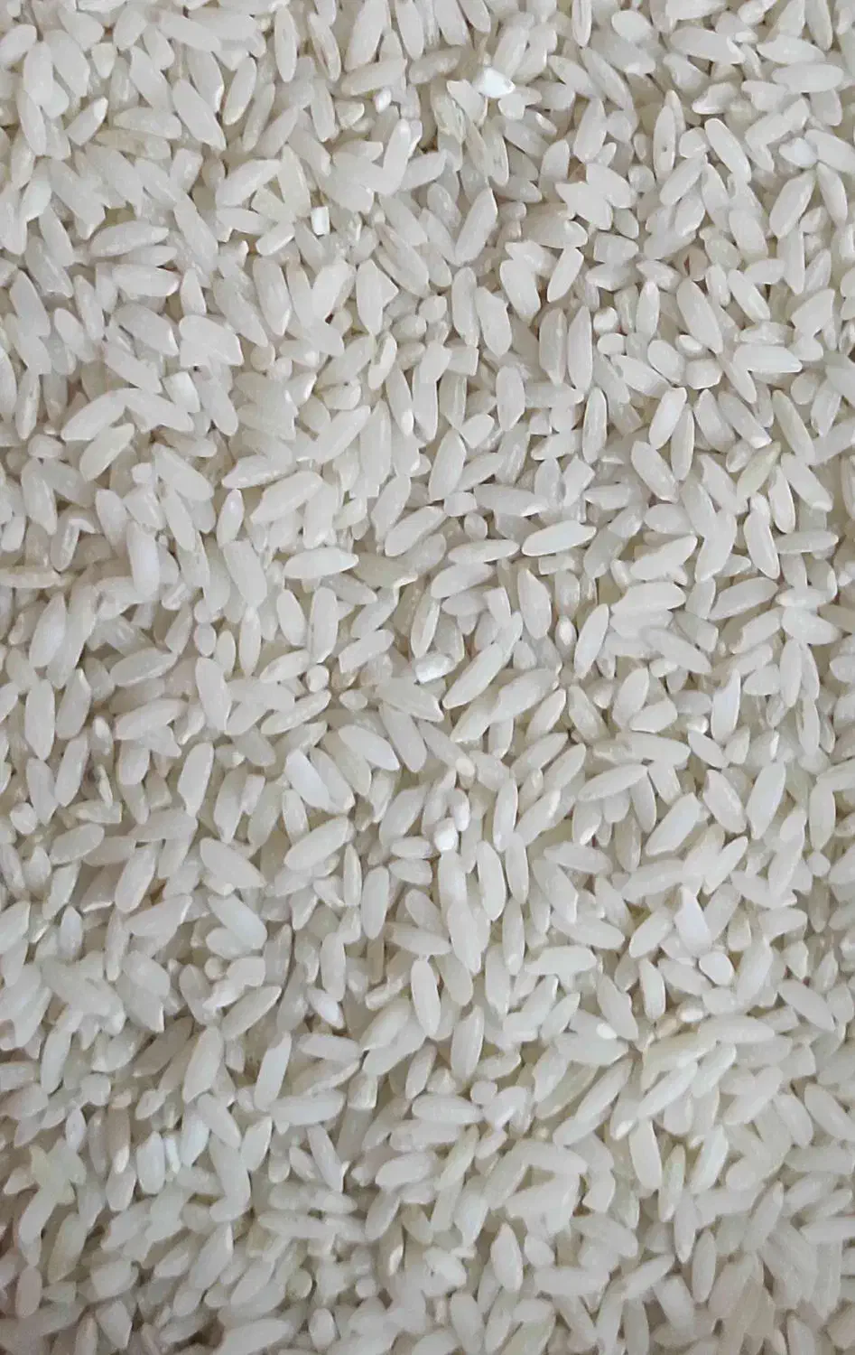 برنج سده لنجان درجه یک|خوردنی و آشامیدنی|لنجان, |دیوار