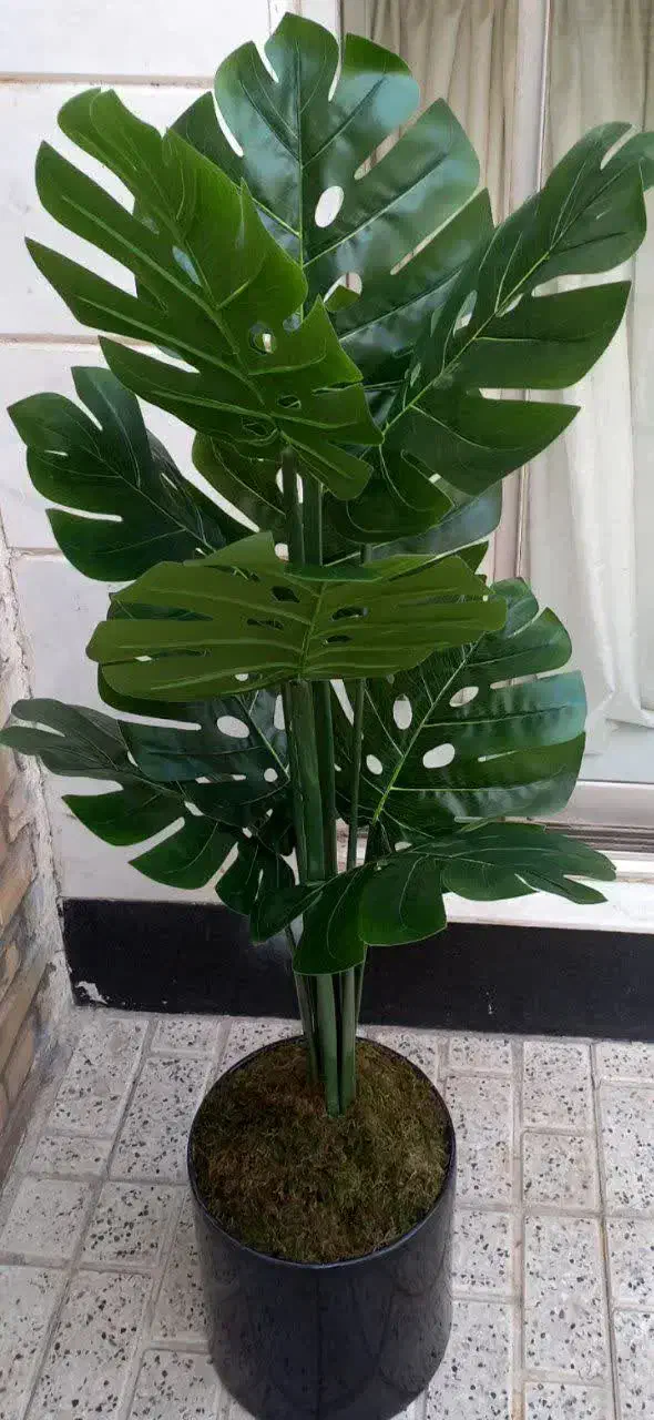 در ختچه های مصنوعی|گل مصنوعی|مشهد, حجت|دیوار