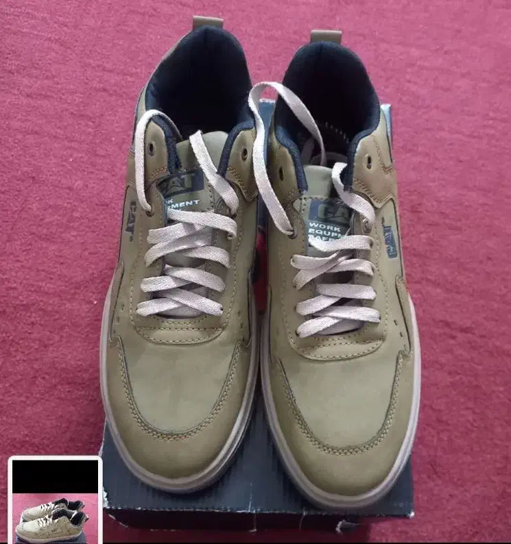 کتونی کت|کیف، کفش، کمربند|قم, بنیاد|دیوار